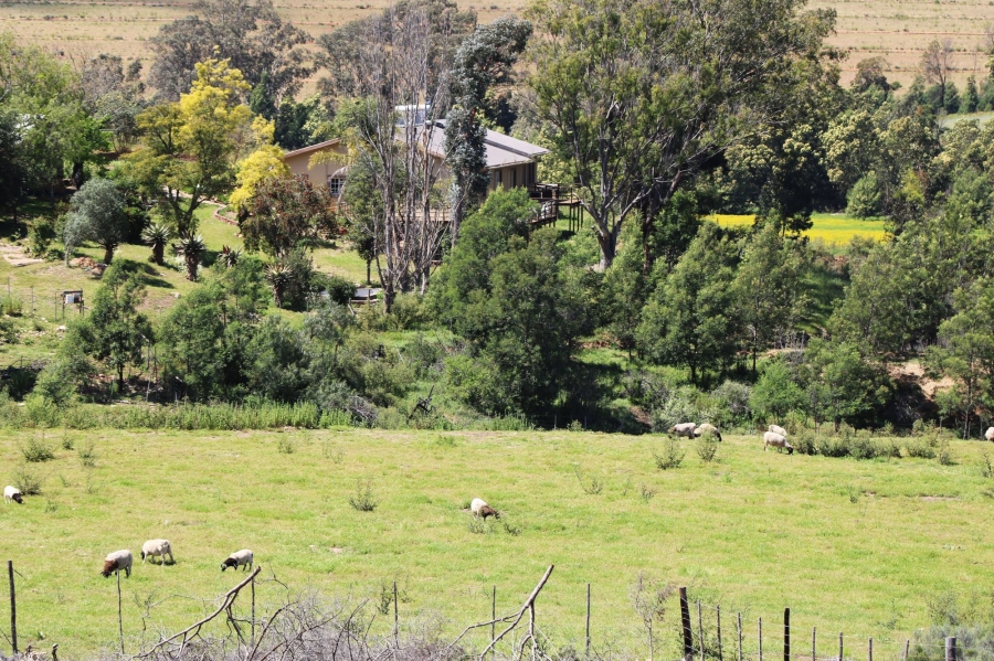 0 Bedroom Property for Sale in Uniondale Rural Western Cape